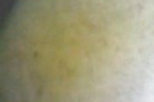 裸体游轮佛罗里达州坦帕市的草莓色情明星