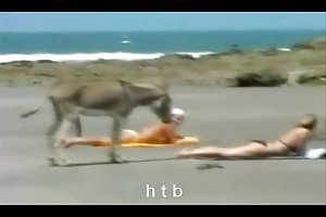 屁股有趣..4人。。.. 成年的画廊酷刑